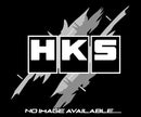 HKS UPPER MOUNT ASSY ZN8 F/R S (G48031-T25120-00)